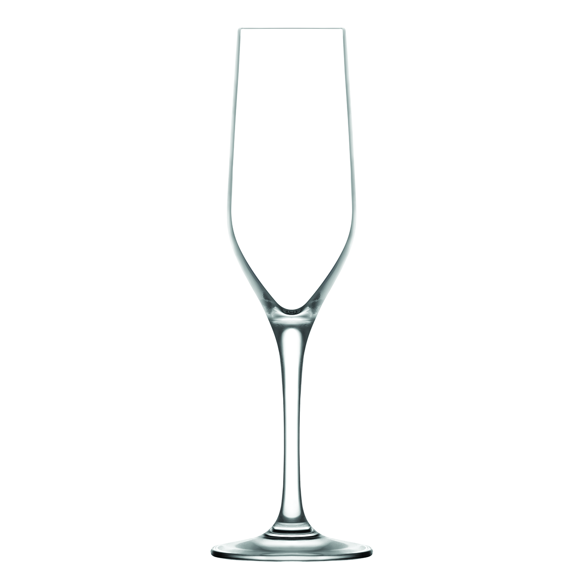 Gusto Şampanya Bardağı