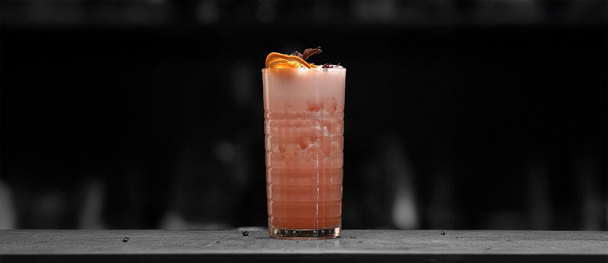 Berry Fusion Fizz Mocktail