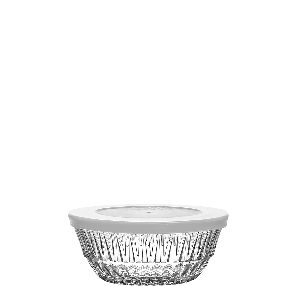 Arizona Food Container with Lid